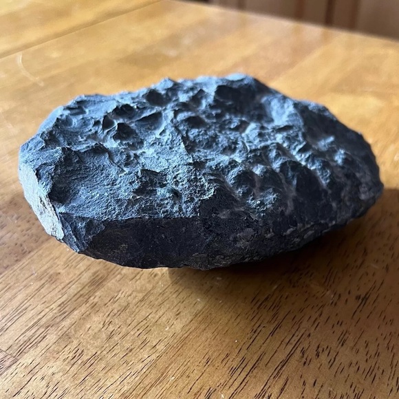 Trilobite fossil - Picture 11 of 14